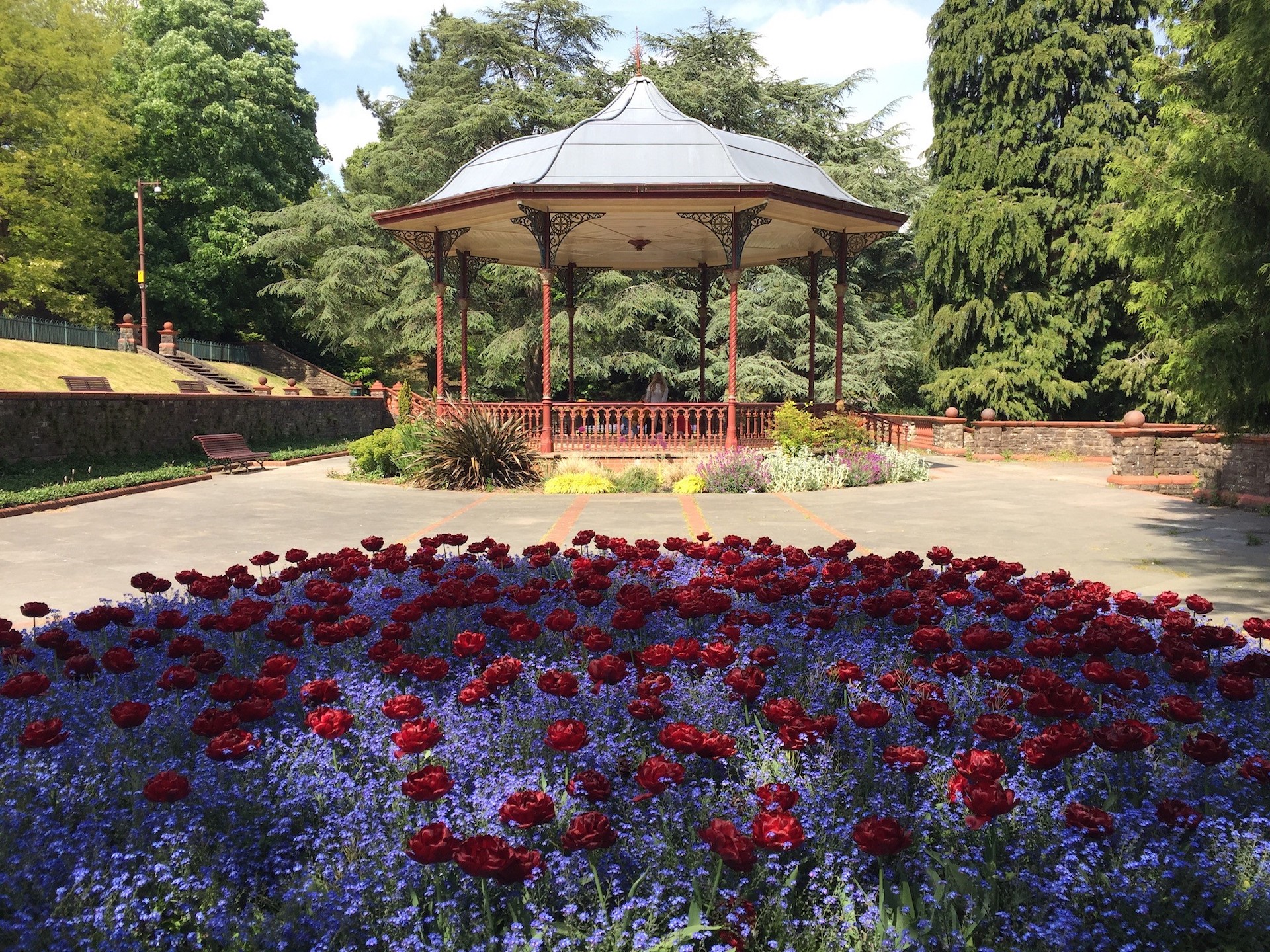 Belle Vue Photographic Competition Winners Announced